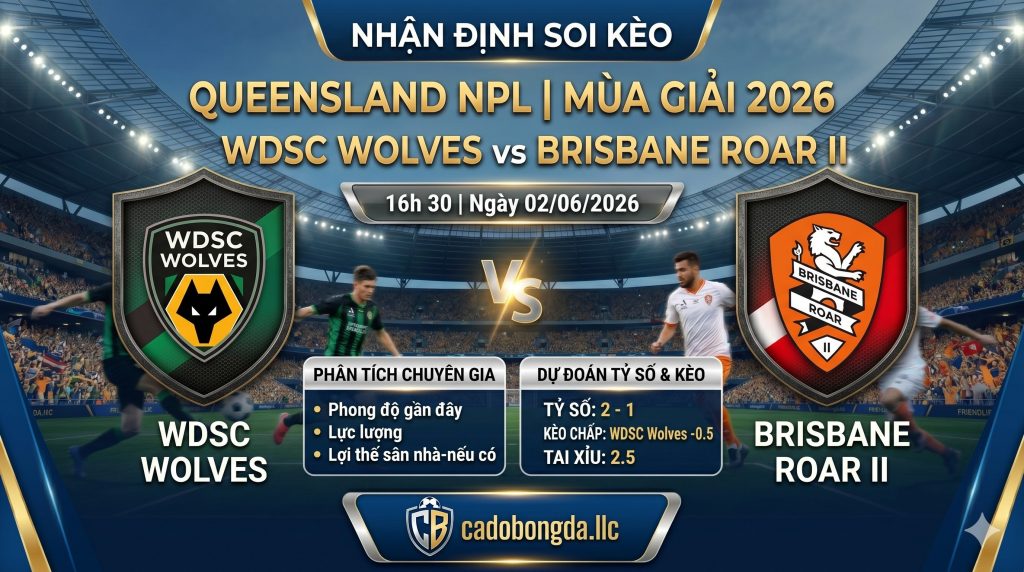 Nhận định soi kèo WDSC Wolves vs Brisbane Roar II 16h 30 ngày 02/06/2026 – Queensland NPL