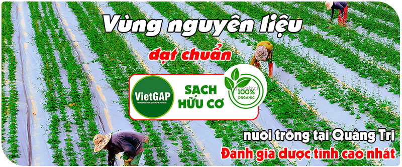 vung-nuoi-trong-dat-chuan-viet-grap