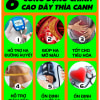 6-CONG-DUNG-DAY-THIA-CANH