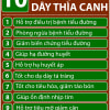 10-cong-dung-day-thia-canh