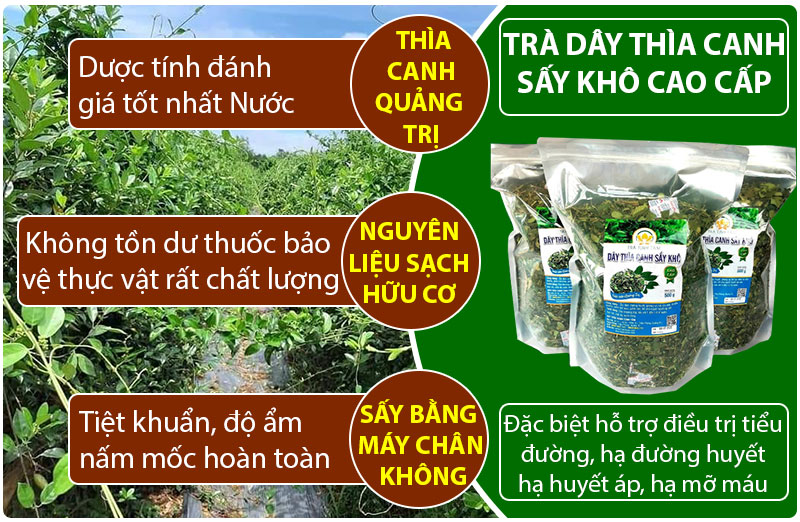 day-thia-canh-cao-cap-123